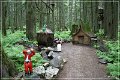 enchanted_forest_08