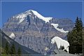 mount_robson_pp_17
