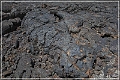 crater_moon_nm_19