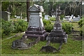 bonaventure_cemetery_08