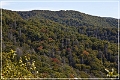 great_smoky_mountains_03