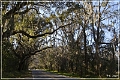 Tallahassee_Canopy_09