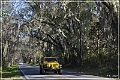 Tallahassee_Canopy_10