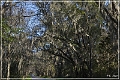 Tallahassee_Canopy_11
