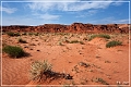 red_point_mesa_2009_01