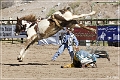 rodeo_05