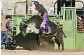 rodeo_23