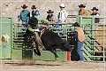 rodeo_24