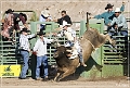 rodeo_27