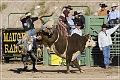 rodeo_28