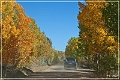 gold_camp_road_05