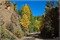 gold_camp_road_06