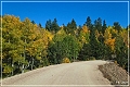 gold_camp_road_09