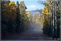 gold_camp_road_21