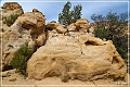 chaps_arch_nm_309_01