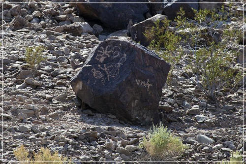 Petroglyphs auf einem der vielen Felsen