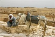Djoser Complex