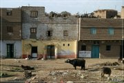 Fahrt n. Luxor