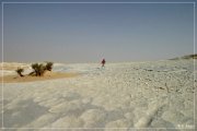 White Desert