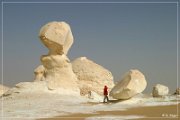 White Desert