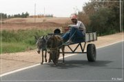 Fahrt n. Kharga