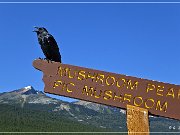 Mushroom and Diadem Peaks