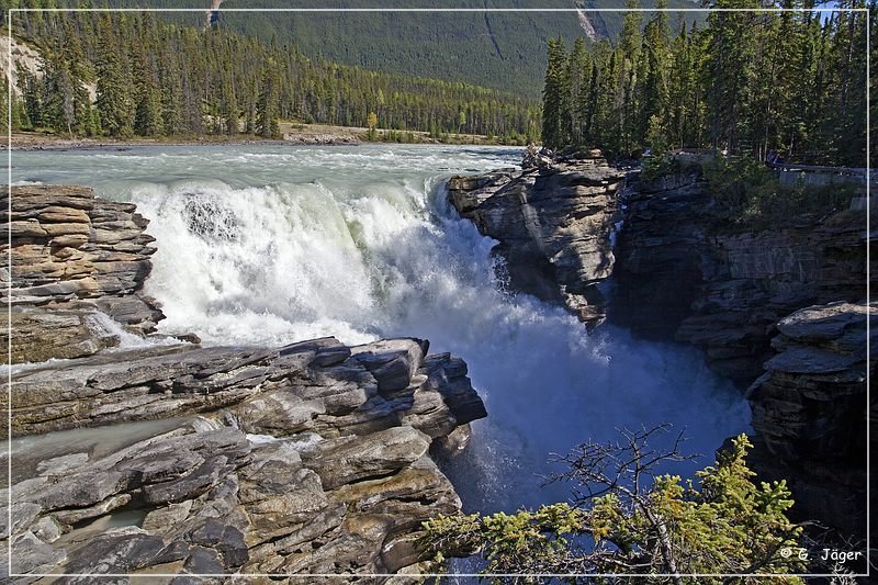 Athabasca Falls 2013