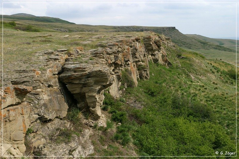 buffalo_jump_01.jpg