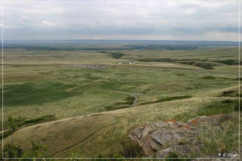 buffalo_jump_02.jpg