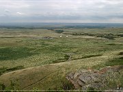 buffalo_jump_02