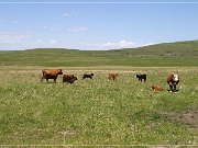 Ranchland_02