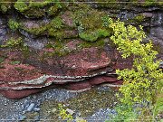 Red Rock Canyon