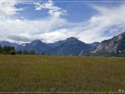Meadow