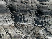 Horseshoe Canyon 2004