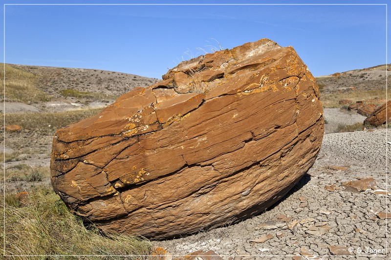 red_rock_coulee_natural_area_40.jpg