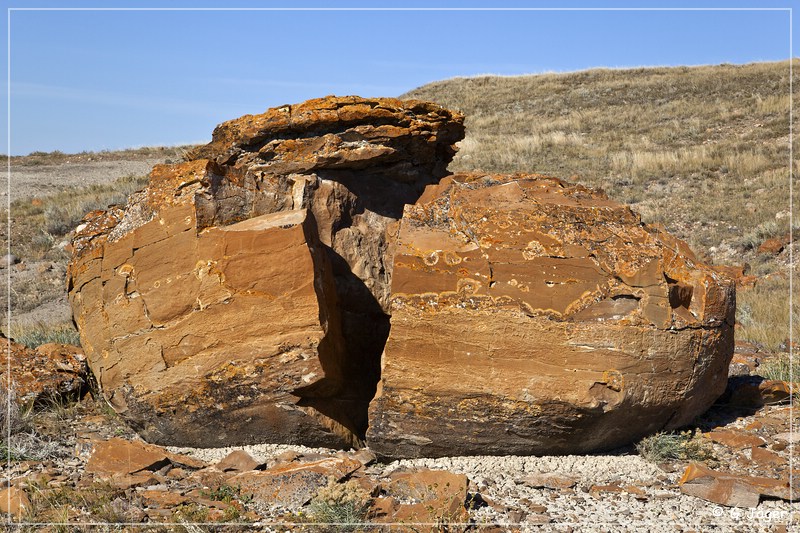red_rock_coulee_natural_area_48.jpg