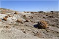 red_rock_coulee_natural_area_02