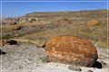 red_rock_coulee_natural_area_08