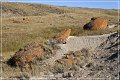 red_rock_coulee_natural_area_11