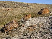 Red Rock Coulee Natural Area