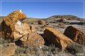 red_rock_coulee_natural_area_13