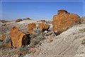 red_rock_coulee_natural_area_15