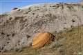 red_rock_coulee_natural_area_16