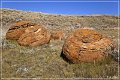red_rock_coulee_natural_area_21