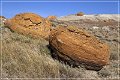 red_rock_coulee_natural_area_22