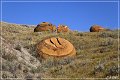 red_rock_coulee_natural_area_23