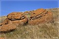 red_rock_coulee_natural_area_25