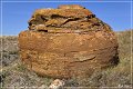 red_rock_coulee_natural_area_42