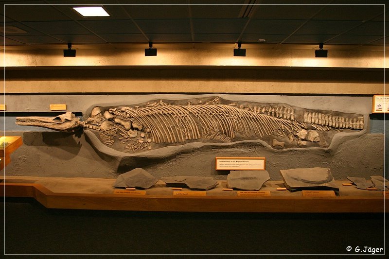 royal_tyrrell_museum_12.jpg