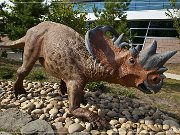 royal_tyrrell_museum_02